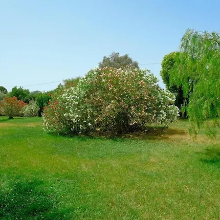 Corte Dei Mirti, Signorili